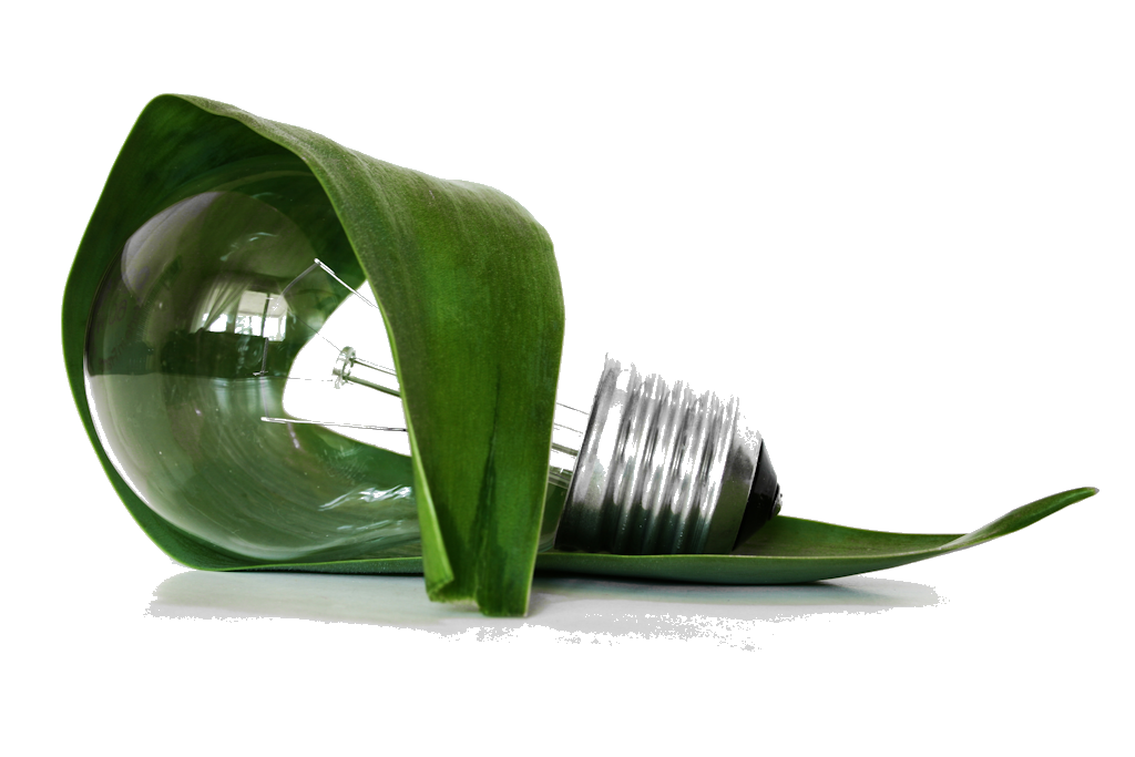 Brown Beattie Sustainability Image Grass and Lightbulb Brown & Beattie Committed to Sustainability