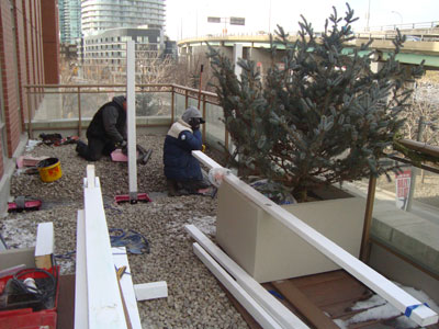 Vacant roof becomes garden